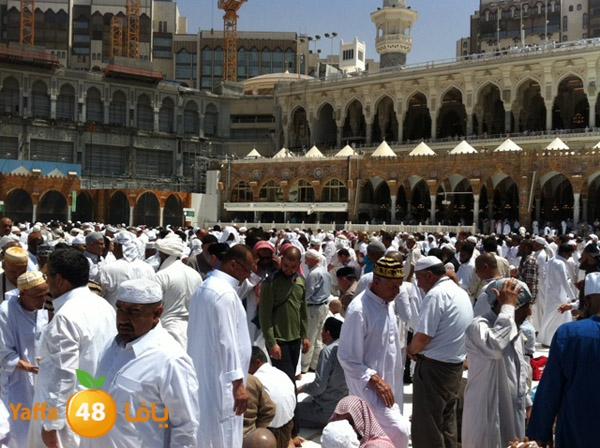 3omranewyaffa326 (67).JPG